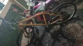Sepeda Dewasa pixy
