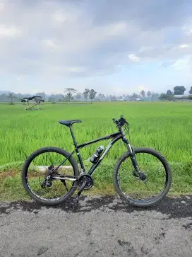 POLYGON CASCADE 4 TAHUN 2022