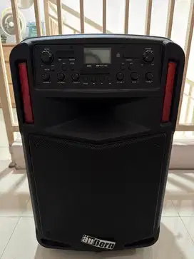 Speaker Aubern Model BE-12CX