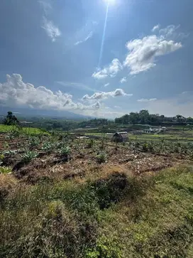 Tanah view bagus untuk cafe atau vila batu