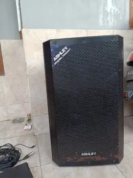 Speaker Ashley ACT600PRO