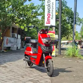 EXOTIC STINGER 3.5 READY STOCK