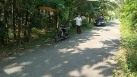 Jual tanah posisi datar di purwodadi pwr