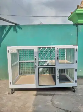 kandang kucing lampung
