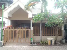 Mulyosari Tengah 1 lantai dekat sutorejo dharmahusada pakuwon city