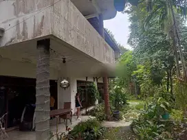 Rumah Semi Heritage Di Villa Duta Dekat Jalan Utama Tanah Besar Dan Lu
