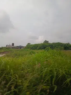 Tanah cocok untuk Gudang atau pool kendaraan