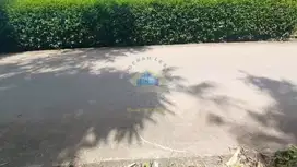 Di Jual Tanah di Dangdang Cisauk Tangerang Banten
