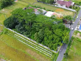 Jual Tanah Pekarangan Palagan KM 8