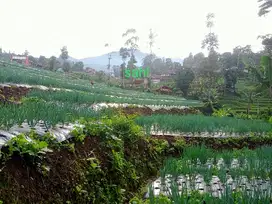 DIJUAL TANAH KEBUN PINGGIR SUNGAI BUAT VILLA