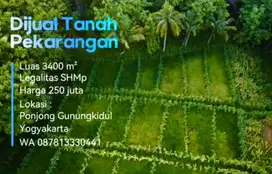 DIJUAL TANAH MURAH PEKARANGAN LUAS 3400M² HARGA 250 JUTA NEGO