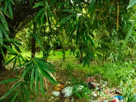 Kavling 1,6 ha, Kawasan Industri Cileles,