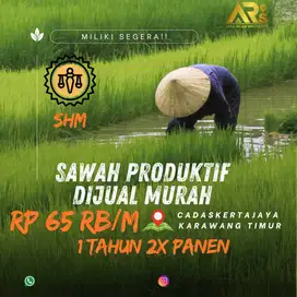 DIJUAL CEPAT TANAH SAWAH PRODUKTIF LUAS 1 HEKTAR DITELAGASARI KARAWANG