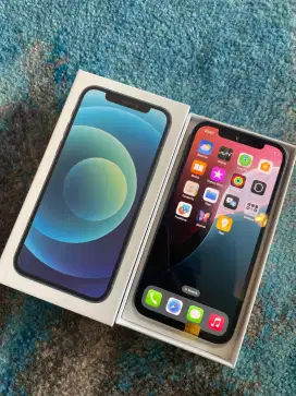 iPhone 12 / 128 Inter