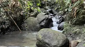tanah perkebunan los sungai view sawah dan gunung