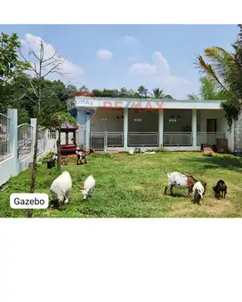 TANAH BONUS VILLA - GAZEBO - PETERNAKAN DAN PERIKANAN