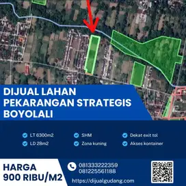 Dijual lahan pekarangan lokasi Boyolali luas 6300m BU!