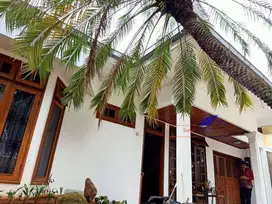 Rumah 1 Lantai di Panglima Polim