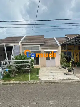 Disewa Rumah 1 Lantai di Cluster Lotus Garden Serpong Lagoon Cisauk