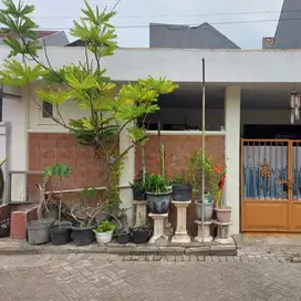 Dijua Cepat Rumah Ready Murah Taman Pondok Indah