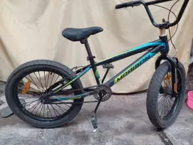 BMX Morrison ban besar