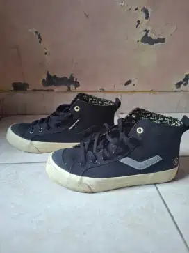 Ventela papa gading