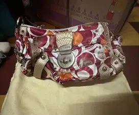 TAS ORI GUESS 100%