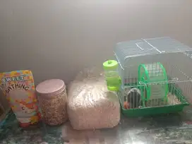 Sepasang hamster