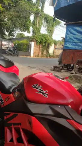 Kawasaki Ninja 250 2013