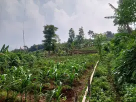 Tanah kebun 1 Ha,masuk mobil, murah cikubang
