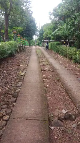 BU Cepat jual Tanah Pekarangan