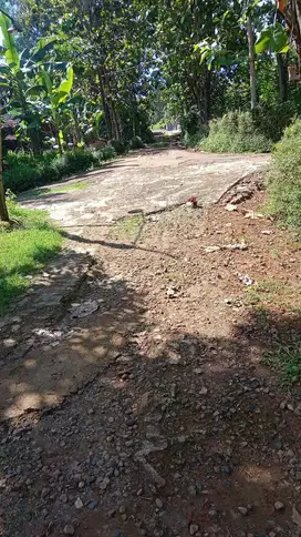 BU Dijual cepat Tanah pekarangan