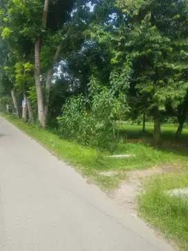 TANAH DIJUAL BINJAI Harga Nego