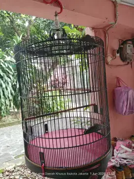 Ebod jaya sangkar murai nomer 2