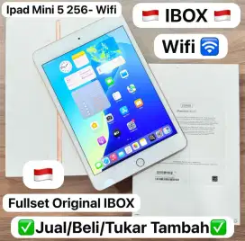 iPad mini 5 256GB
