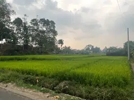 Dijual Tanah kosong / sawah Dekat dengan smkn 1 soreang bandung