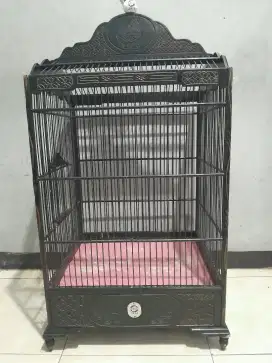 Sangkar ebod semar nomer 1