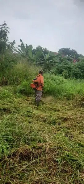 Jasa potong rumput