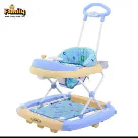 Family BabyWalker