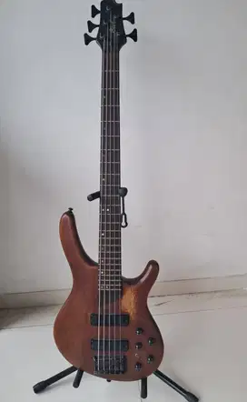 Bass Cort B5 made ini korea 5 strings