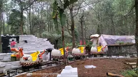 Kereta Lantai DINO