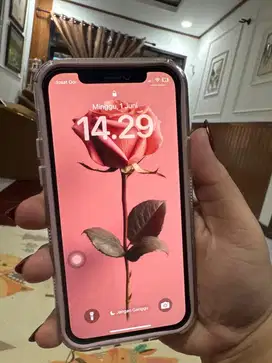 IPHONE 12 PRO 256GB INTER BEACUKAI