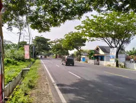 TANAH 14760,SHM, JALAN RAYA PROVINSI JENU KM 15 DESA BEJI,JENU,TUBAN