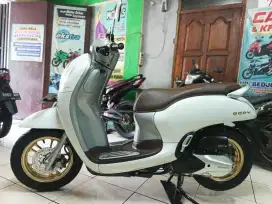 Sw.UM500RIBU SCOOPY PRESTIGE 2021