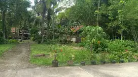 Dijual Tanah pekarangan