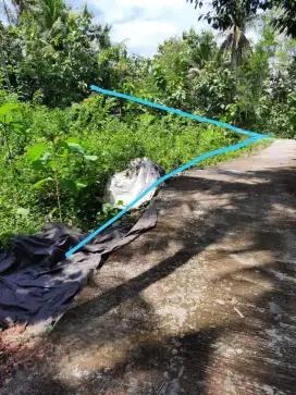 Dijual cepat tanah pekarangan