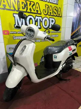 Fazzio 2023 AJM