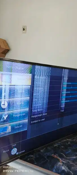 Tv panasonic 43 in