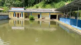 Kolam Ikan Kolam Ikan ada Rumahnya