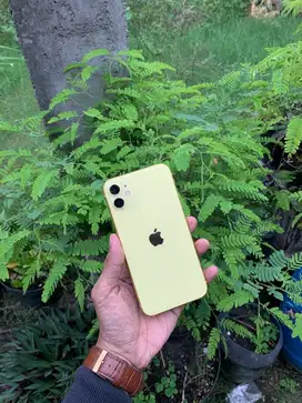 Iphone 11 128gb yellow resmi indo